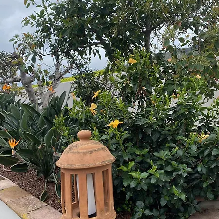 El Carmen Villa *